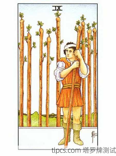塔罗牌寻失物,权杖九的启示与应用