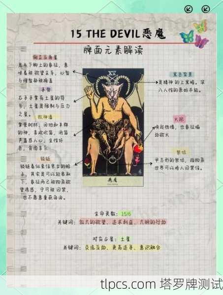 女生聊塔罗牌的艺术,从知识到实战的深度指南