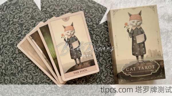 测你的猫塔罗牌,探索神秘与灵性的猫咪世界