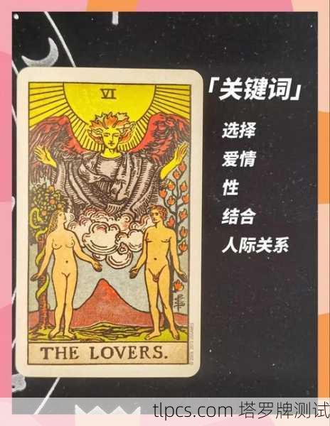 塔罗牌测试,探索你与室友的关系