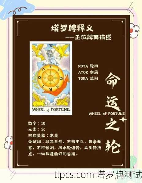 卢静和张润的塔罗牌奇缘,当命运之轮开始转动