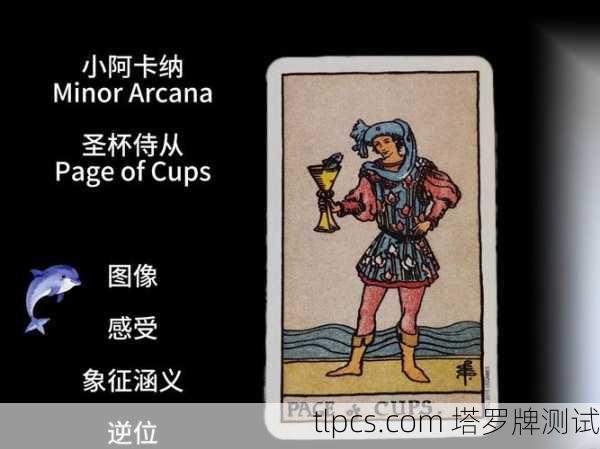 塔罗牌侍从的建议,探索适合你的游戏与活动