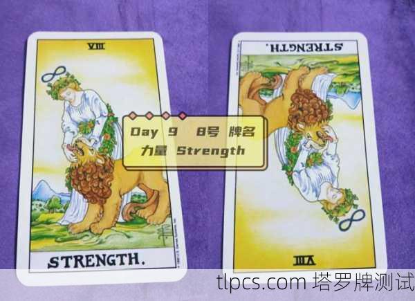 探索塔罗牌的奥秘，T1塔罗牌与JDG战队的象征解读
