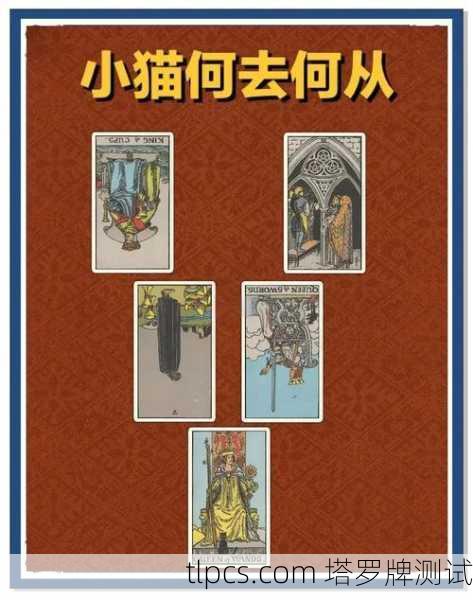 超萌预警！迷你白猫塔罗牌玩法全攻略，新手也能秒变占卜大师！