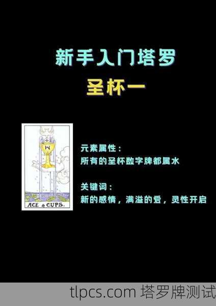 塔罗牌零基础入门指南,从懵逼到装X的全方位攻略