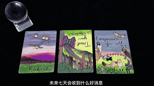 塔罗牌揭秘,未来7天你会遇到啥好事儿?速来测!