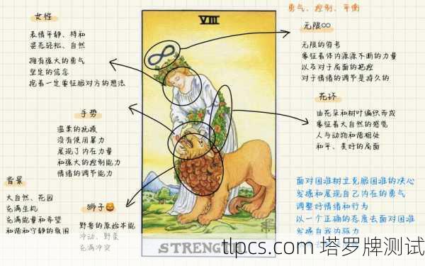 塔罗牌错误图片大全解析,常见误区与正确解读