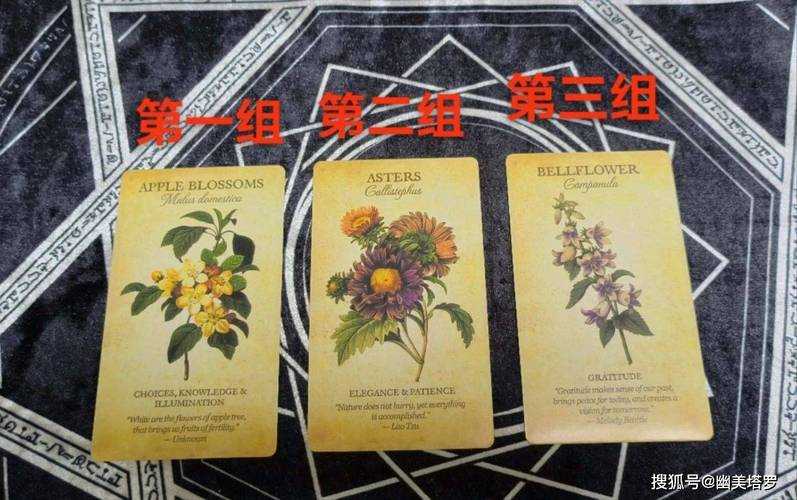 如何绘制与解读齐娜塔罗牌,从艺术到占卜的全面指南