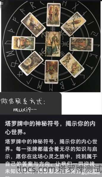 奇幻塔罗牌推荐阵容图鉴,解读命运的神秘符号