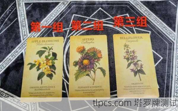 俄罗斯塔罗牌美女Sh，神秘占卜背后的真实人生