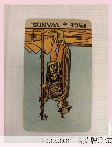 塔罗牌权杖国王插画华丽到炸！这细节绝了，资深玩家带你深度解析