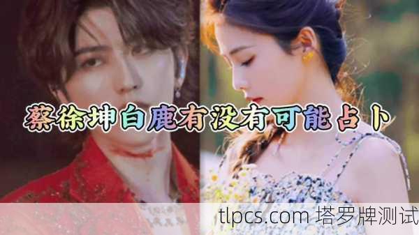 蔡徐坤和Angelababy的塔罗牌秘密,缘分、事业与未来大解析!
