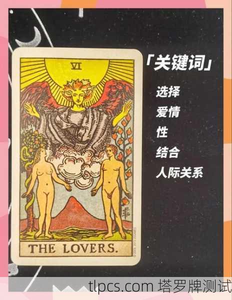 塔罗牌占卜,老公还是我?揭秘感情中的选择与真相
