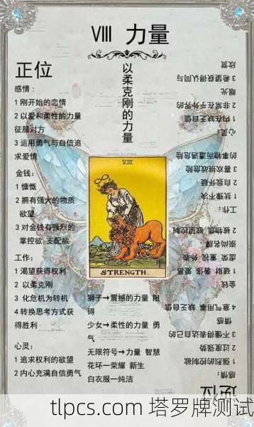 探索带能量环的塔罗牌，测算、测试与深层解读