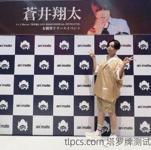 苍井翔太与塔罗牌,艺术与灵魂的共鸣