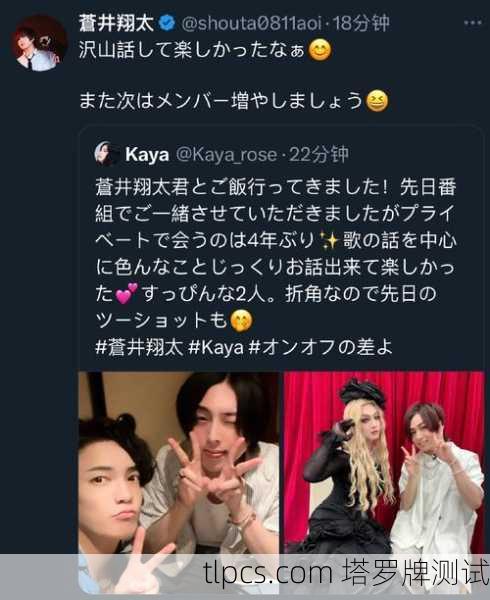 苍井翔太与塔罗牌,艺术与灵魂的共鸣