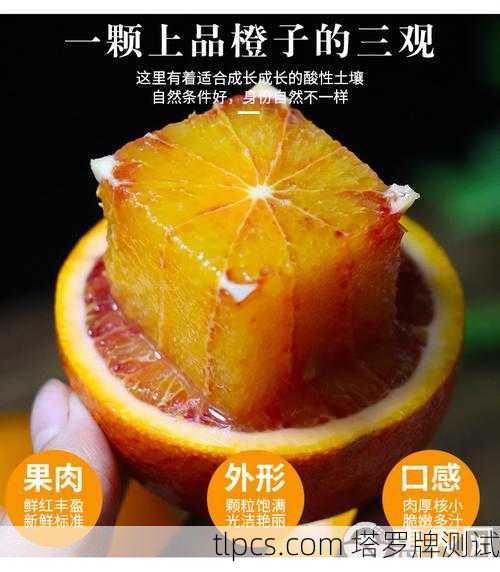 塔罗牌玫瑰血橙价格为啥这么贵?揭秘背后的玄机和选购技巧!