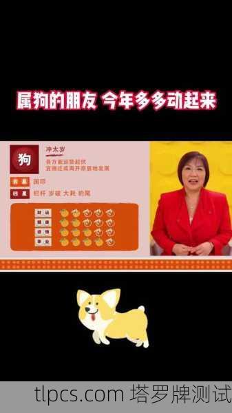 生肖狗今年感情运势咋样？塔罗牌给你透个底儿！