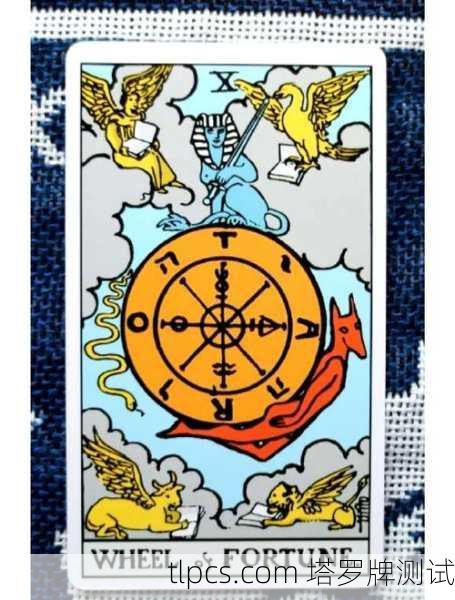 塔罗牌最大转盘？别被忽悠了！揭秘那些年我们踩过的命运大坑