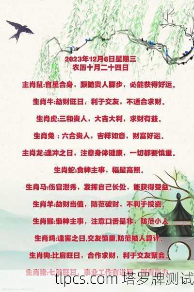 十二生肖塔罗牌运势解析,探索命运的神秘指引