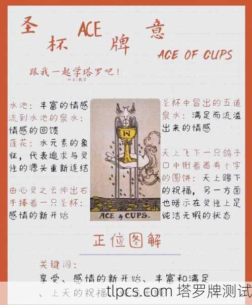 塔罗牌圣杯九解读,满足感爆棚还是内心空虚?资深玩家带你深扒这张愿望成真牌!