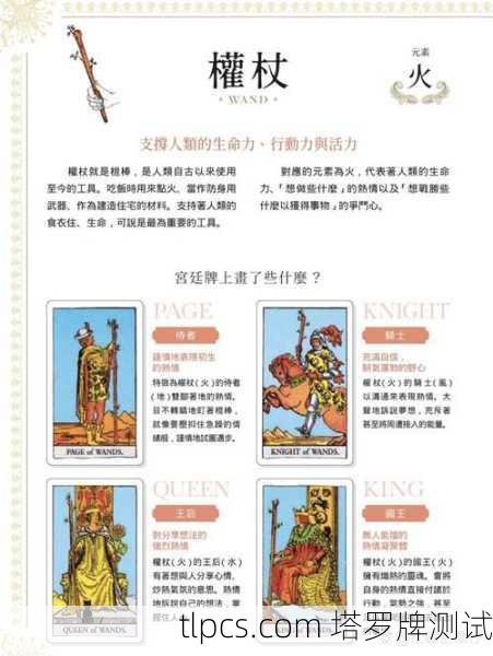 韦特塔罗牌教程资源，从入门到精通的完整指南