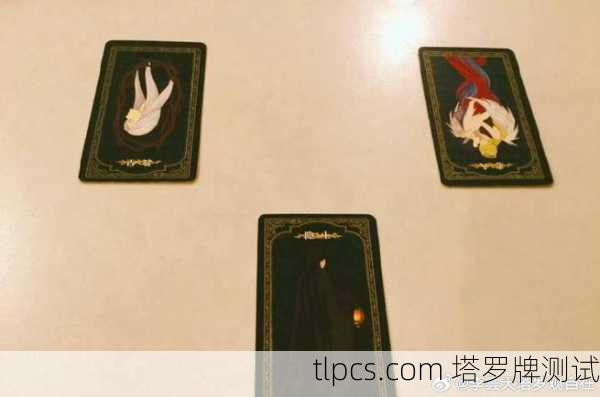 黑兔兔塔罗牌,揭示命运的神秘之镜