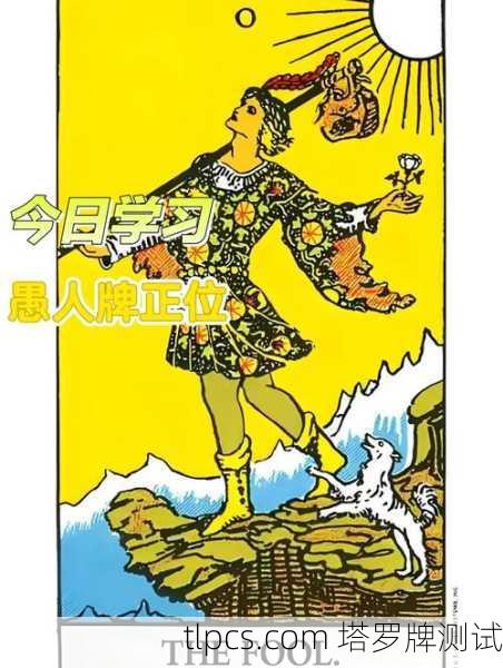 本命数字5塔罗牌解析,自由灵魂的冒险与挑战