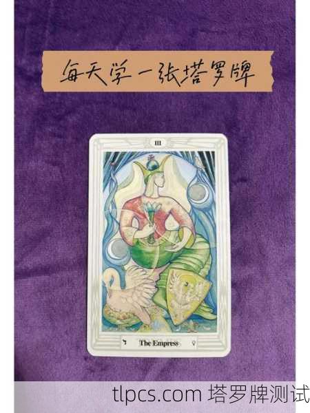 神秘与美的交融,美女手持塔罗牌解说视频的魅力解析