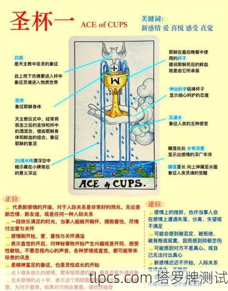 魔兽世界塔罗牌冷却时间？别慌，老司机教你用塔罗牌解读技能CD玄学！