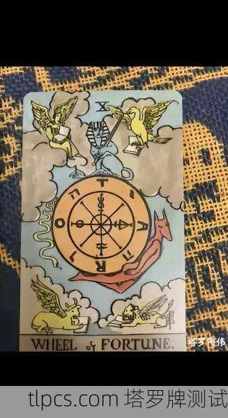 终极一班塔罗牌大揭秘!你的命运藏在哪张牌里?