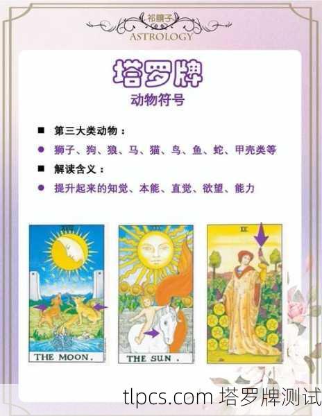 塔罗牌里抽到大象图案，到底意味着什么？