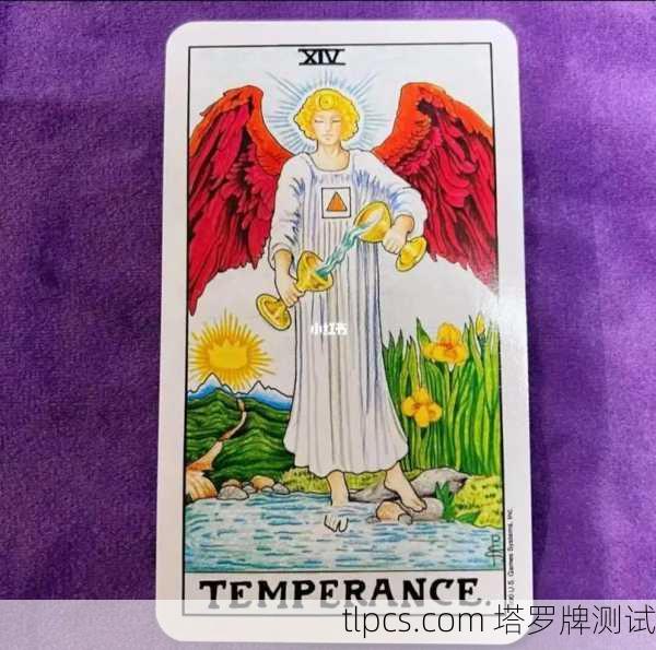 黑暗中的蝴蝶,塔罗牌的神秘指引与测算艺术