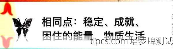 被剑插着的塔罗牌,解读宝剑牌组的奥秘