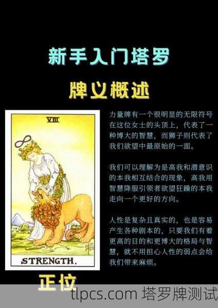80张塔罗牌能用吗？深度解析塔罗牌知识、测算与测试