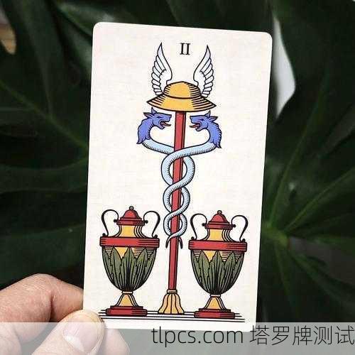 学马赛塔罗牌?这几副牌最适合新手入门!