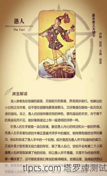 明星与塔罗牌，探索神秘的心灵指引