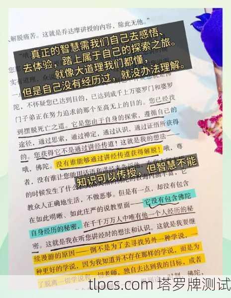 尹净汉的塔罗牌占卜之旅，从迷茫到觉醒的心灵指南