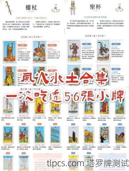 塔罗牌里的火与土,解读你的激情与务实面