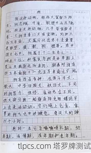 示例文章1