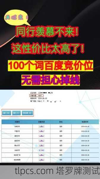 2025年百度蜘蛛池出租,专业引蜘蛛提升网站收录与排名