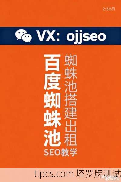 百度蜘蛛池出租平台:高效收录与排名提升的必备工具