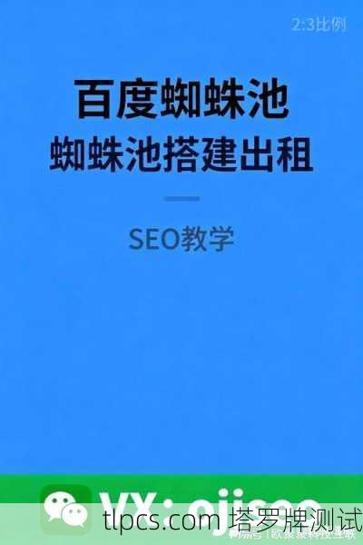 百度蜘蛛池出租平台:高效收录与排名提升的必备工具