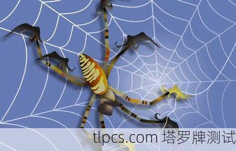 百度蜘蛛池出租，新手必看攻略！