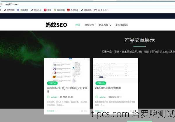 企业百度蜘蛛池收录保障：高效提升网站收录率