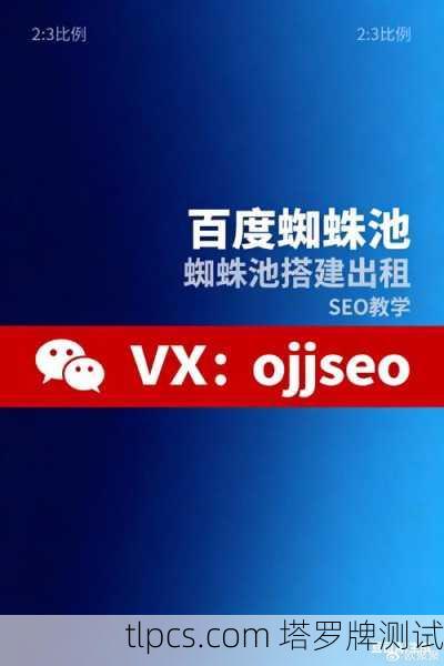 百度蜘蛛池出租，新手必看攻略！