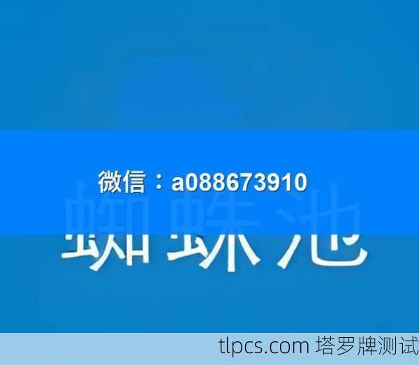 百度蜘蛛池出租，新手必看攻略！