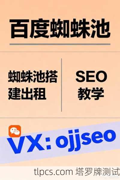 企业百度蜘蛛池收录保障：高效提升网站收录率