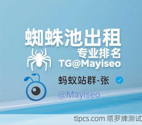 蜘蛛池出租靠谱性分析：百度蜘蛛池真实效果揭秘