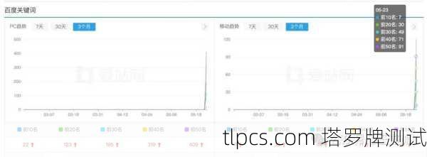蜘蛛池出租靠谱性分析:百度蜘蛛池真实效果揭秘